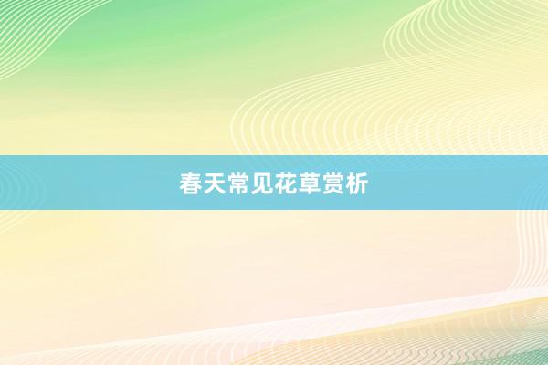春天常见花草赏析