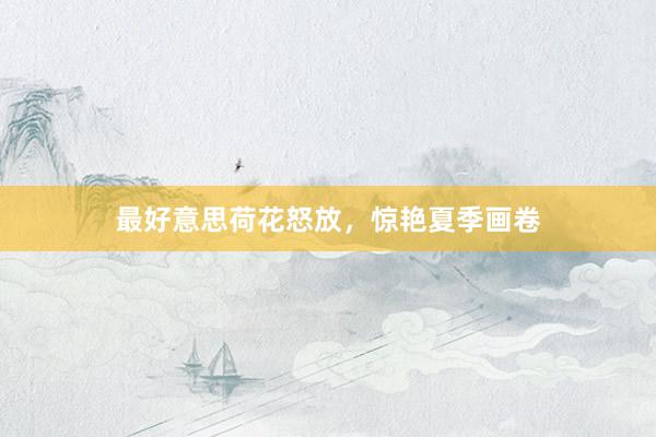 最好意思荷花怒放，惊艳夏季画卷